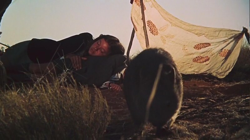 小姐弟荒原历险剧照的剧照