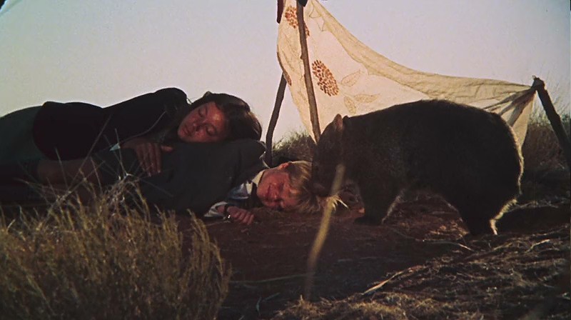 小姐弟荒原历险剧照的剧照