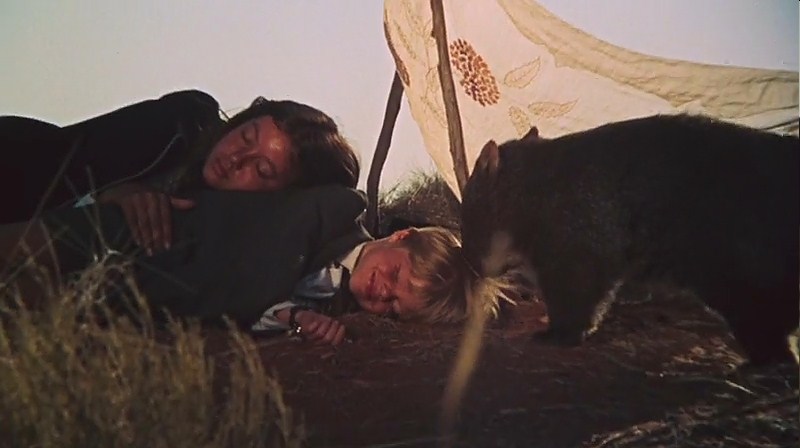 小姐弟荒原历险剧照的剧照