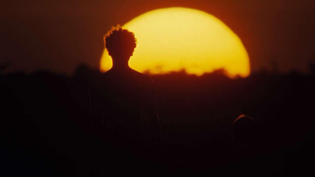 小姐弟荒原历险剧照的剧照