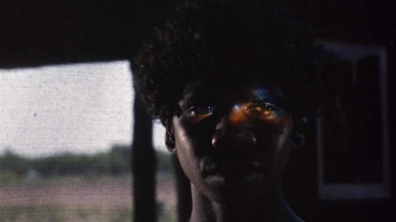 小姐弟荒原历险剧照的剧照