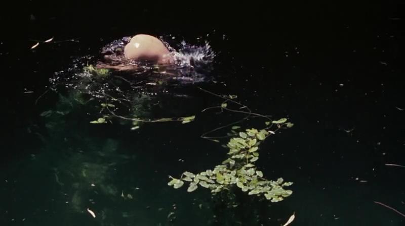 小姐弟荒原历险剧照的剧照