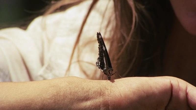 小姐弟荒原历险剧照的剧照