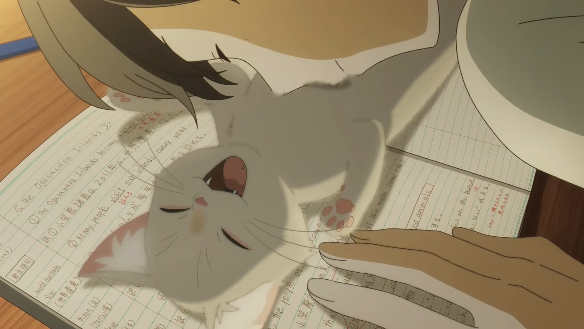 想哭的我戴上了猫的面具剧照的剧照