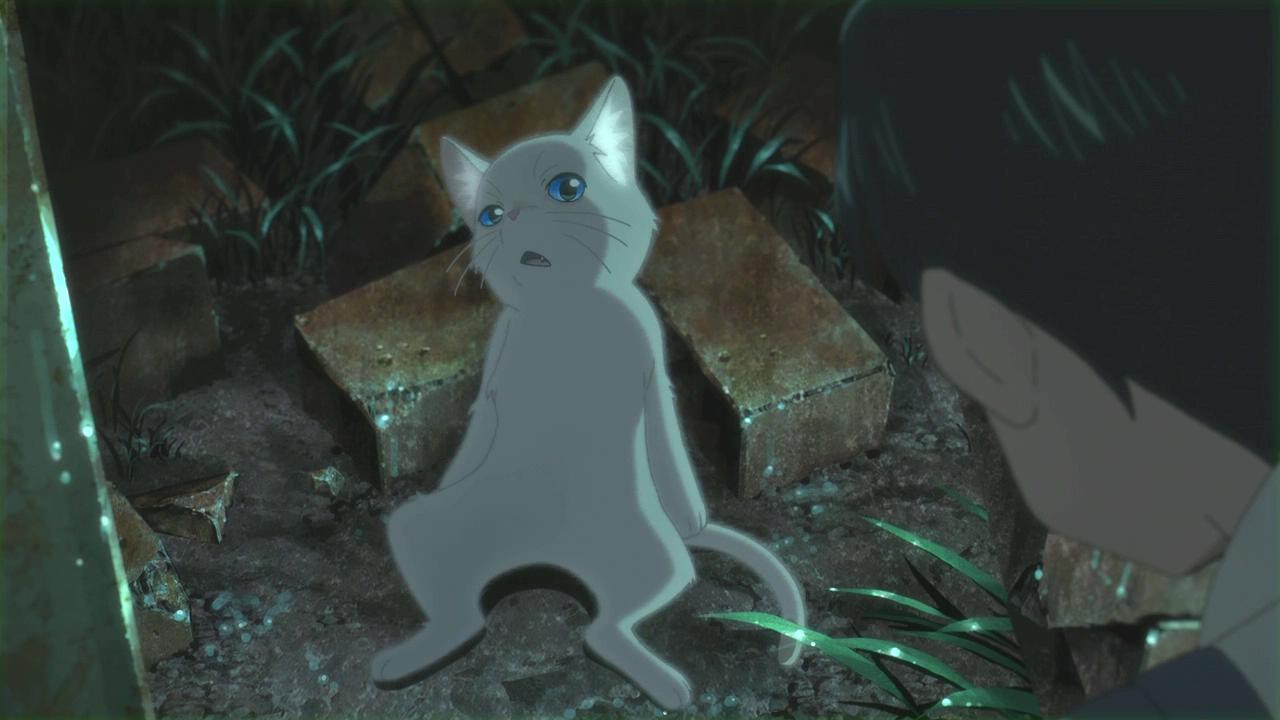 想哭的我戴上了猫的面具剧照的剧照