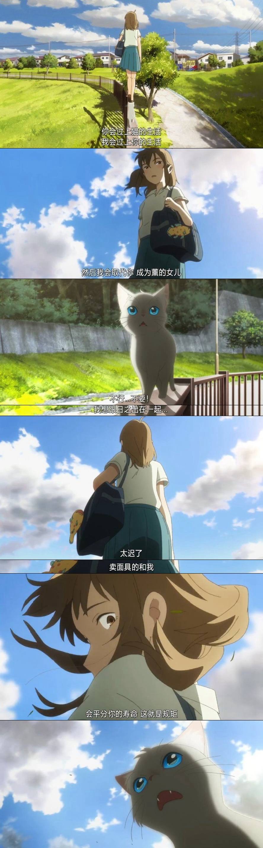 想哭的我戴上了猫的面具剧照的剧照