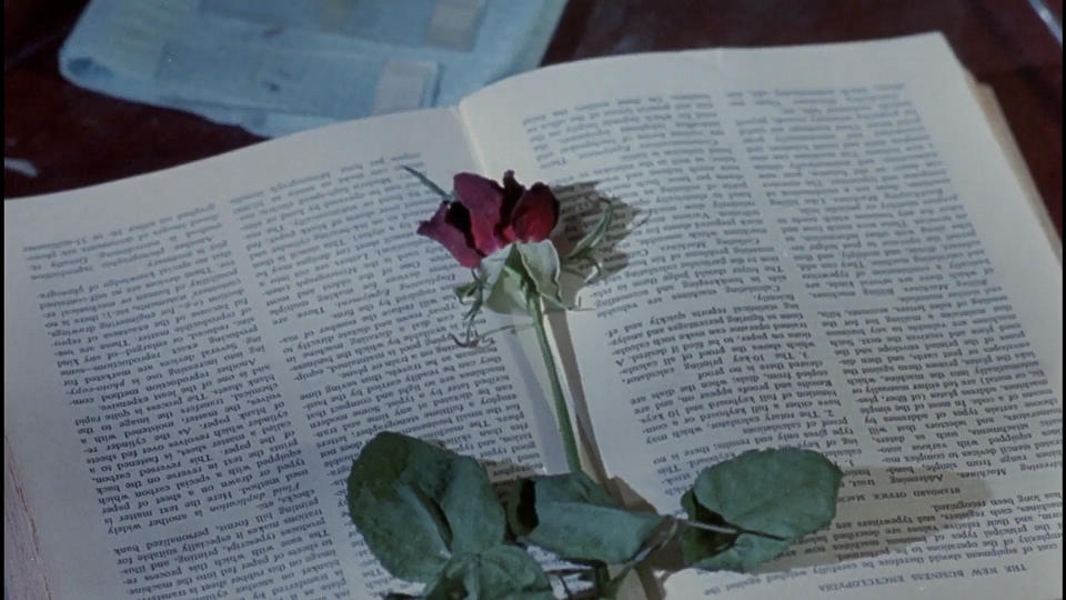 死灵之书剧照的剧照