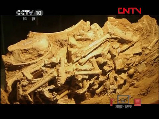 石破天惊的秘密剧照的剧照