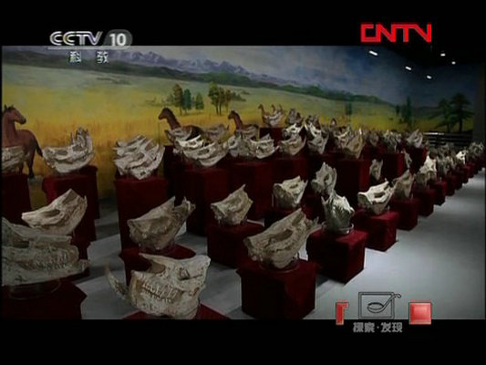 石破天惊的秘密剧照的剧照