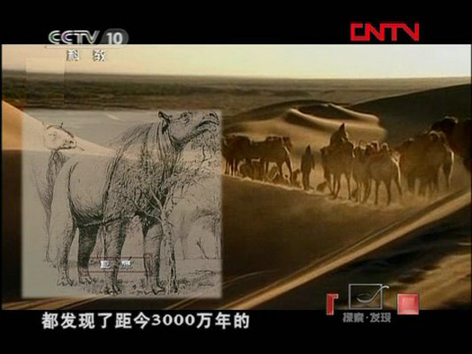 石破天惊的秘密剧照的剧照