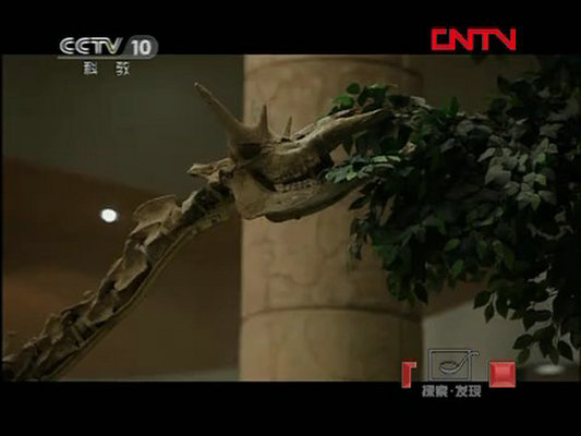 石破天惊的秘密剧照的剧照