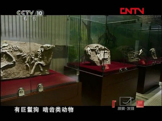 石破天惊的秘密剧照的剧照