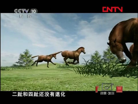 石破天惊的秘密剧照的剧照