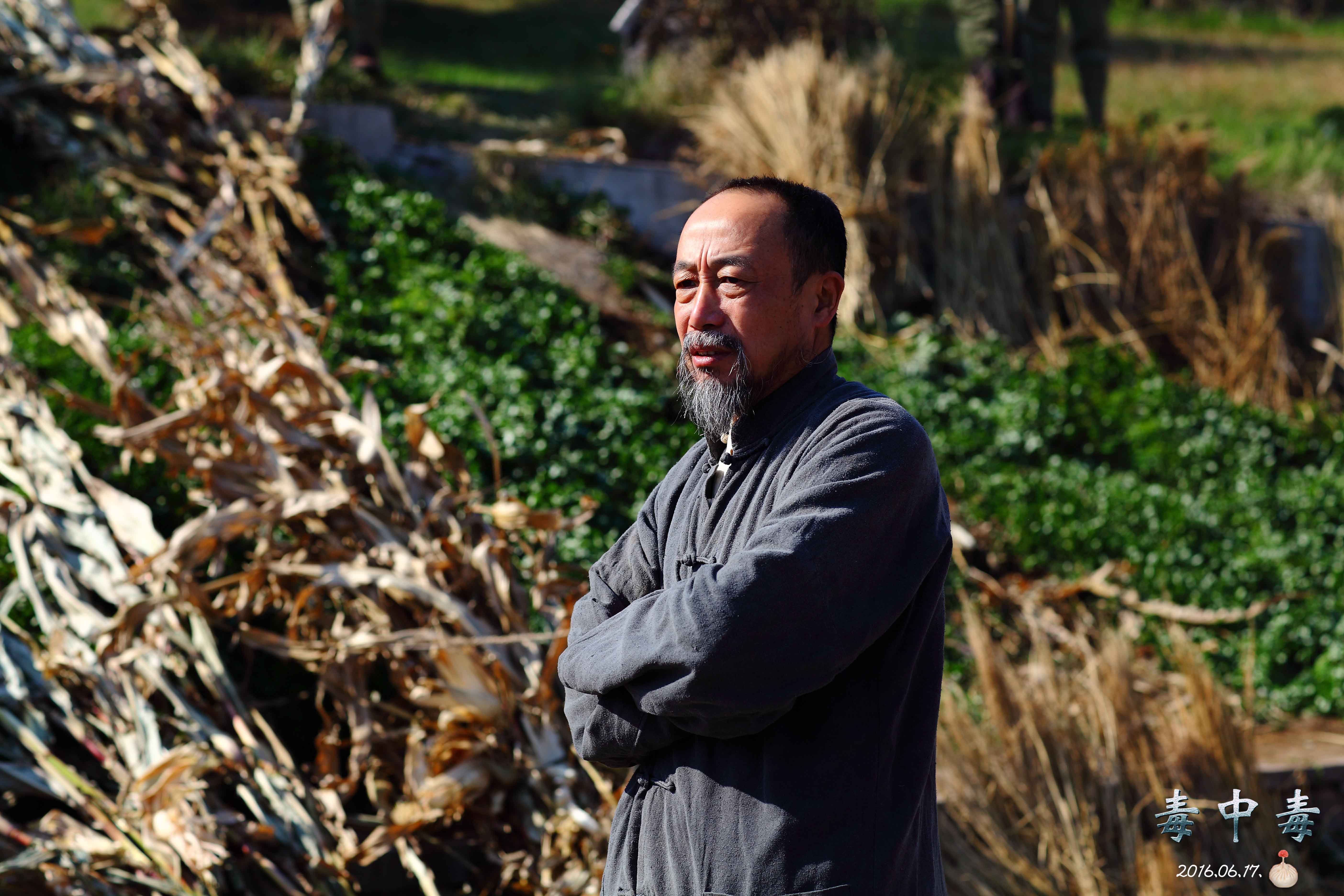 毒中毒剧照的剧照