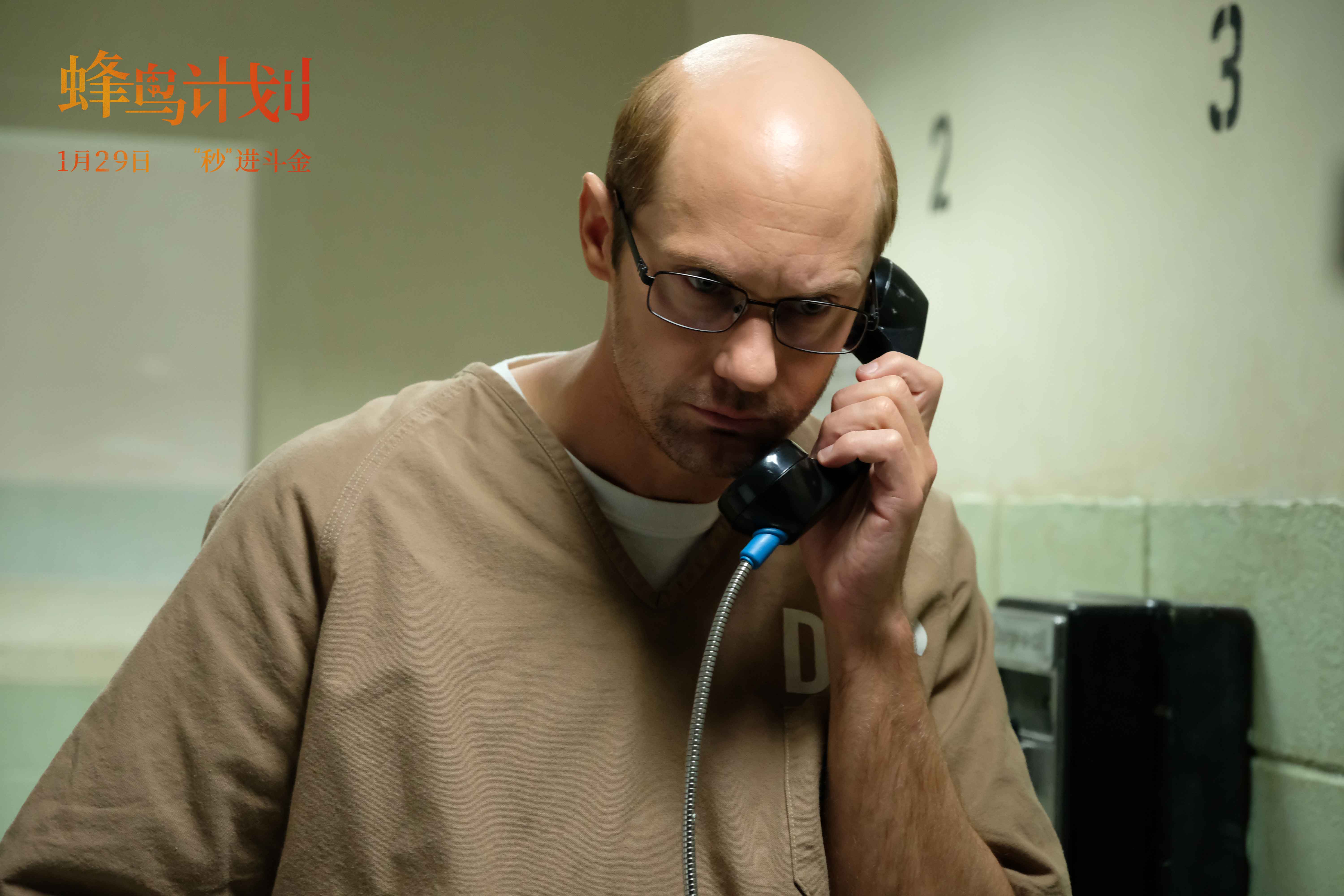 蜂鸟计划剧照的剧照