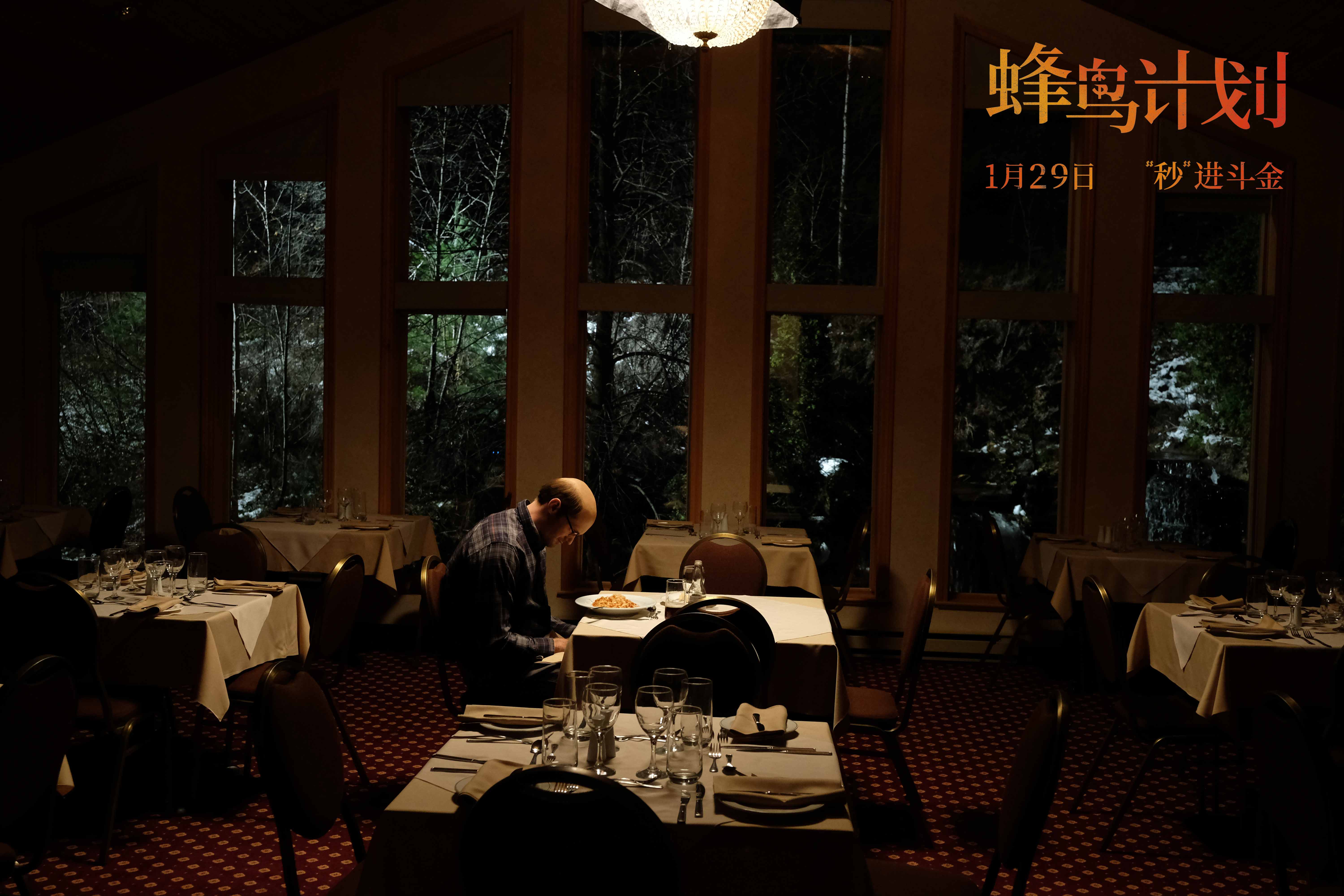 蜂鸟计划剧照的剧照