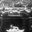 魔术师的神秘洞穴剧照