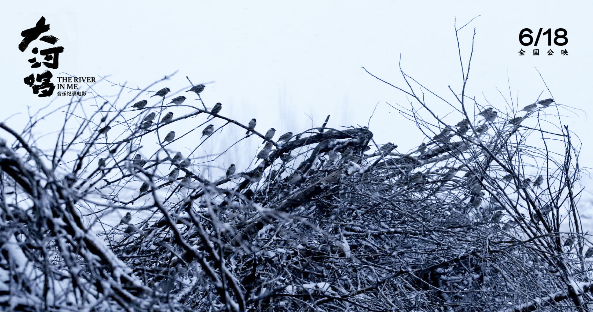 大河唱剧照的剧照