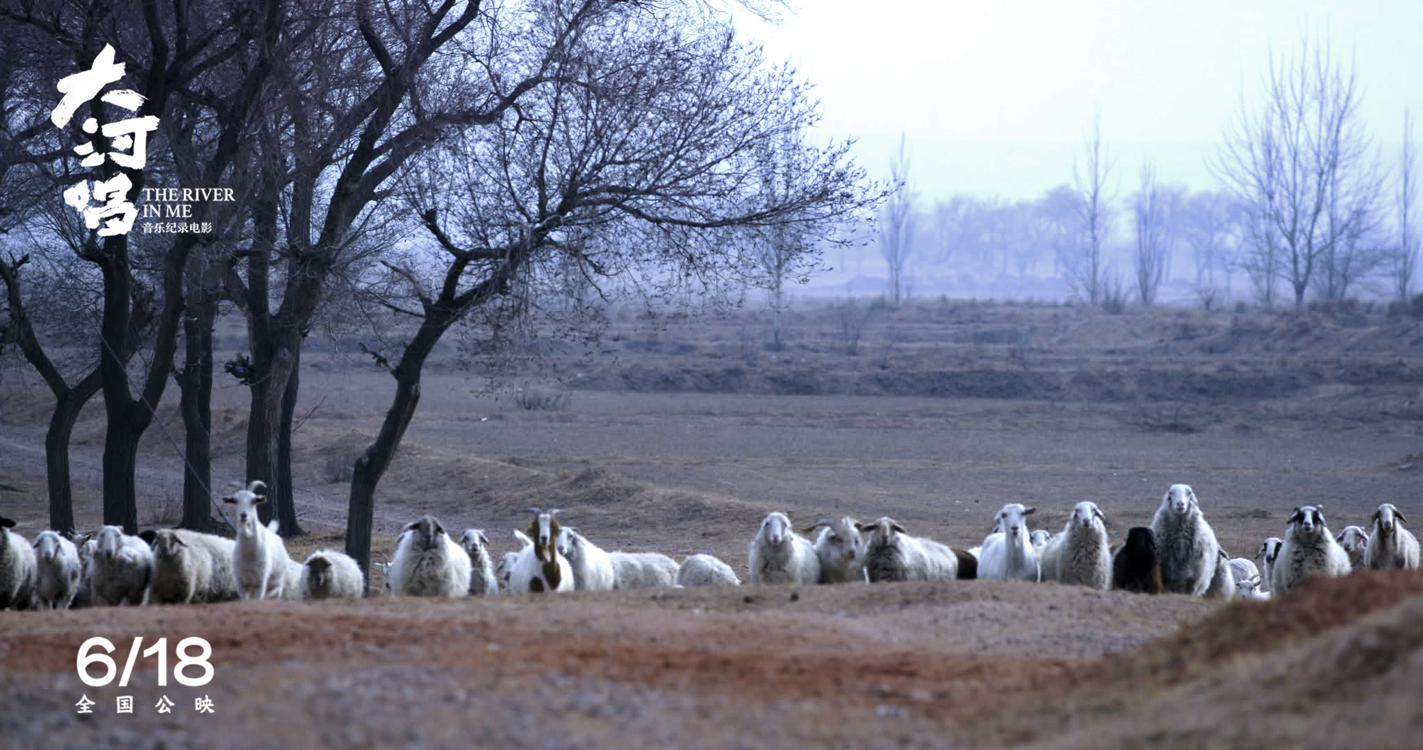 大河唱剧照的剧照