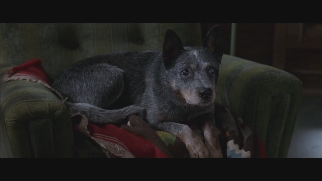 秘窗剧照的剧照