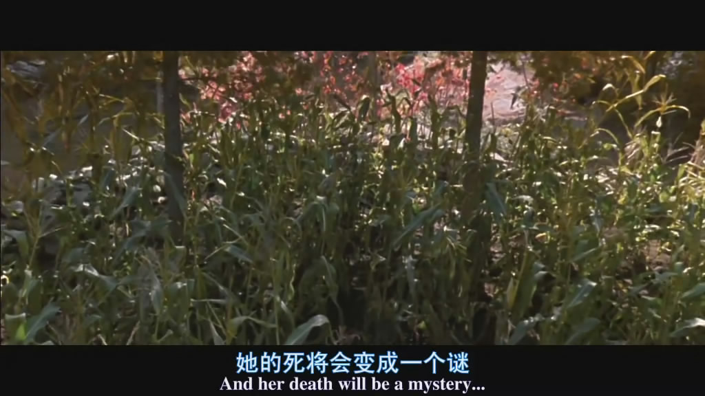 秘窗剧照的剧照