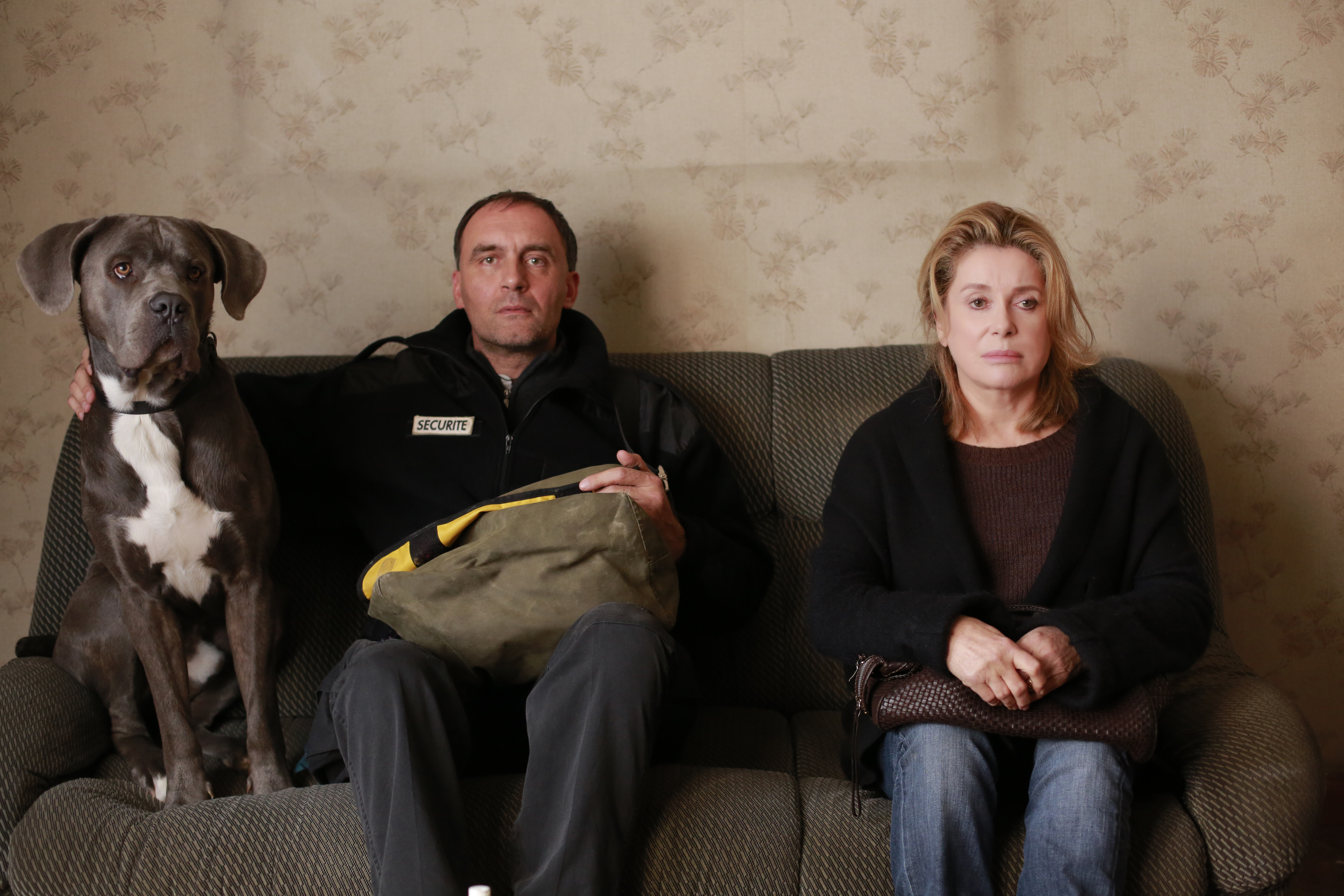 庭院情缘剧照的剧照