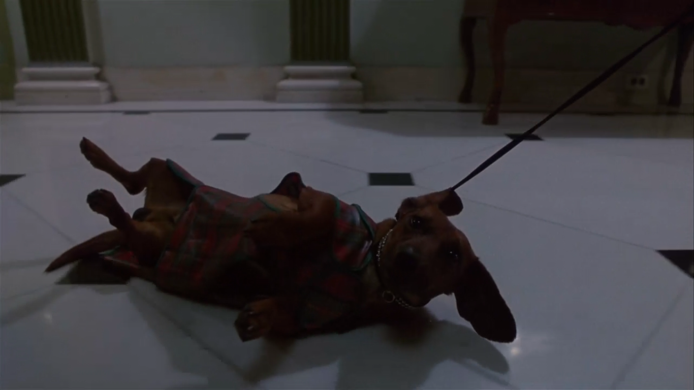 虚荣的篝火剧照的剧照