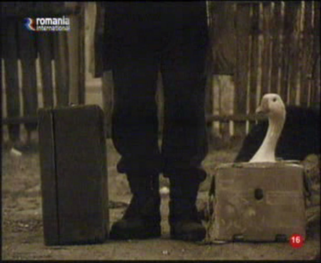 每天上帝都会亲吻我们的嘴唇剧照的剧照