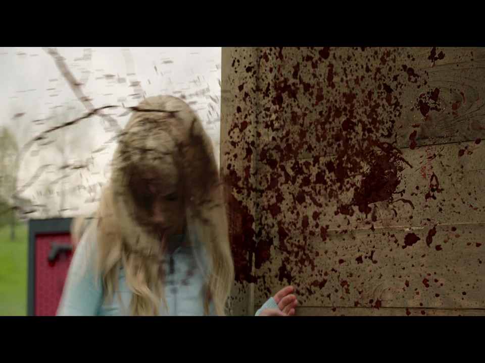 狩猎剧照的剧照