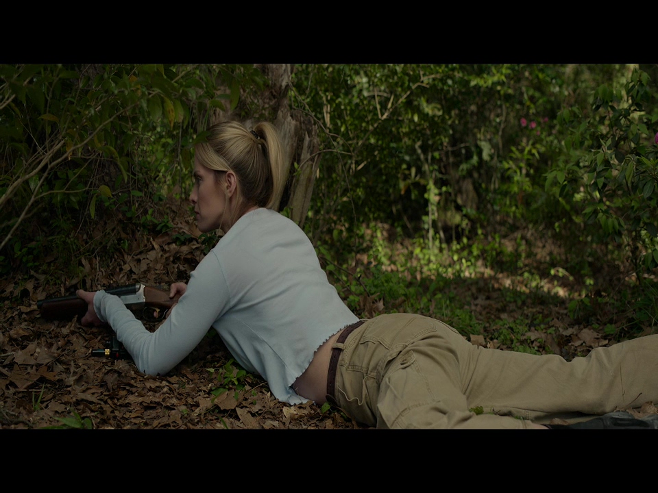 狩猎剧照的剧照