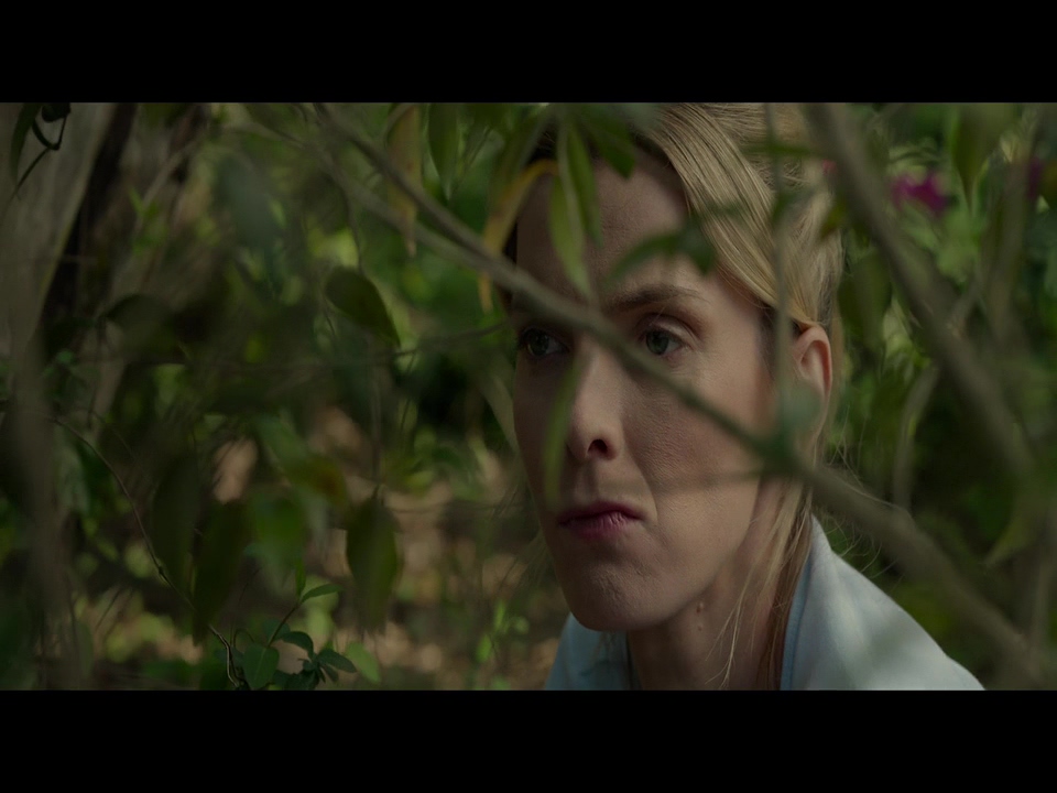 狩猎剧照的剧照