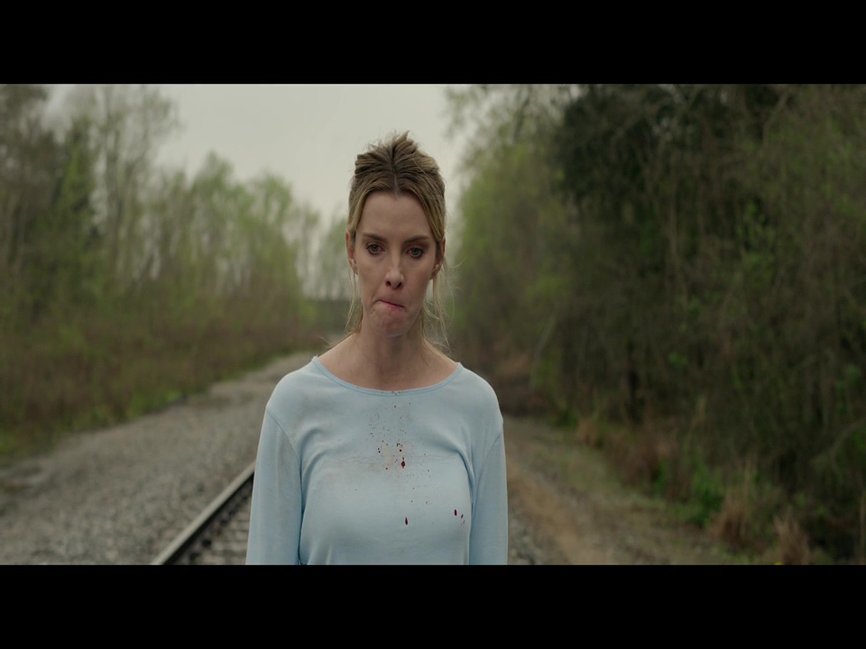 狩猎剧照的剧照