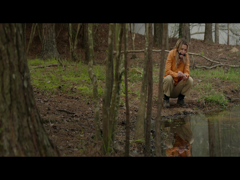 狩猎剧照的剧照