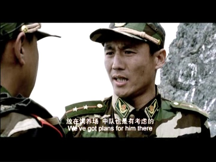 枪手剧照的剧照