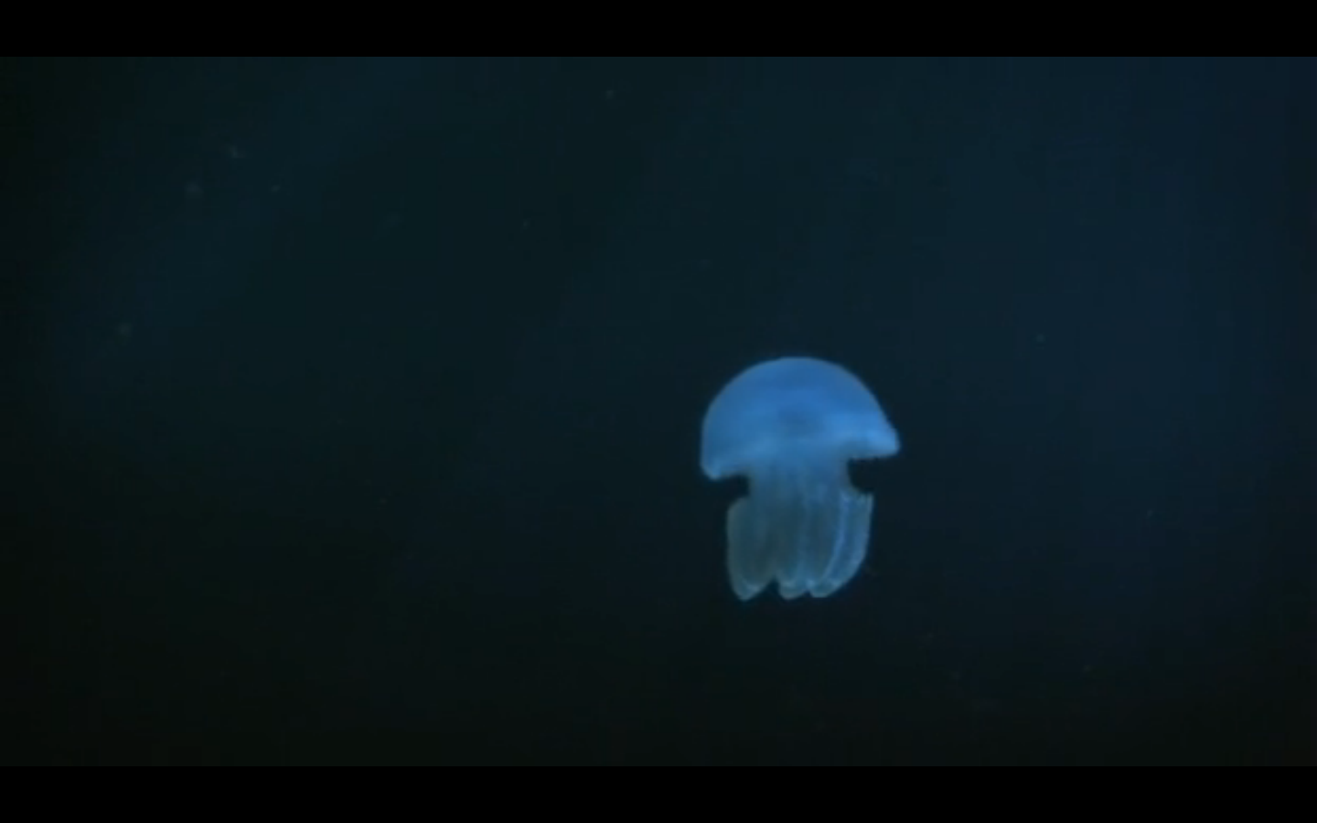 自虐之诗剧照的剧照