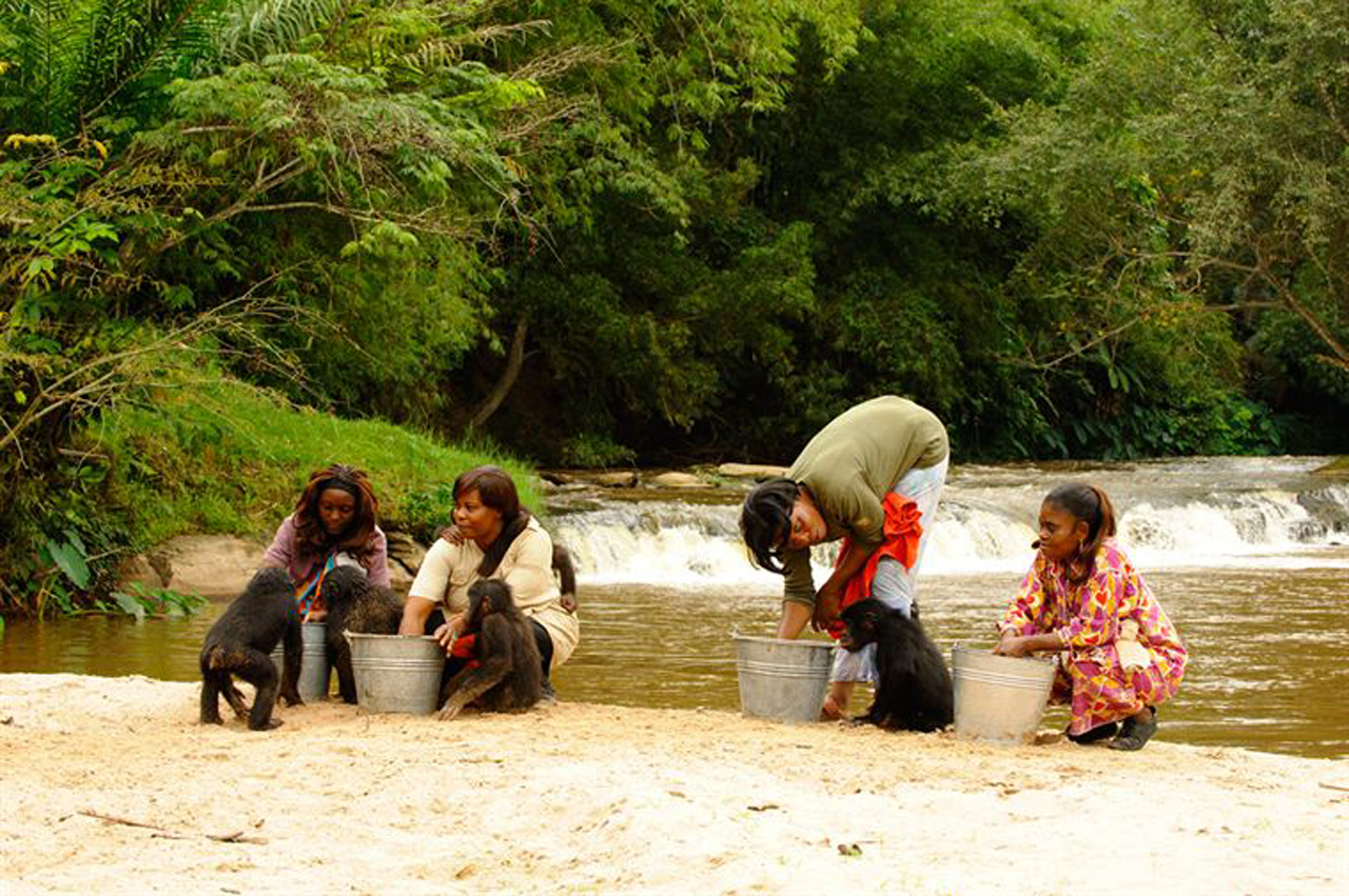 Bonobos剧照的剧照