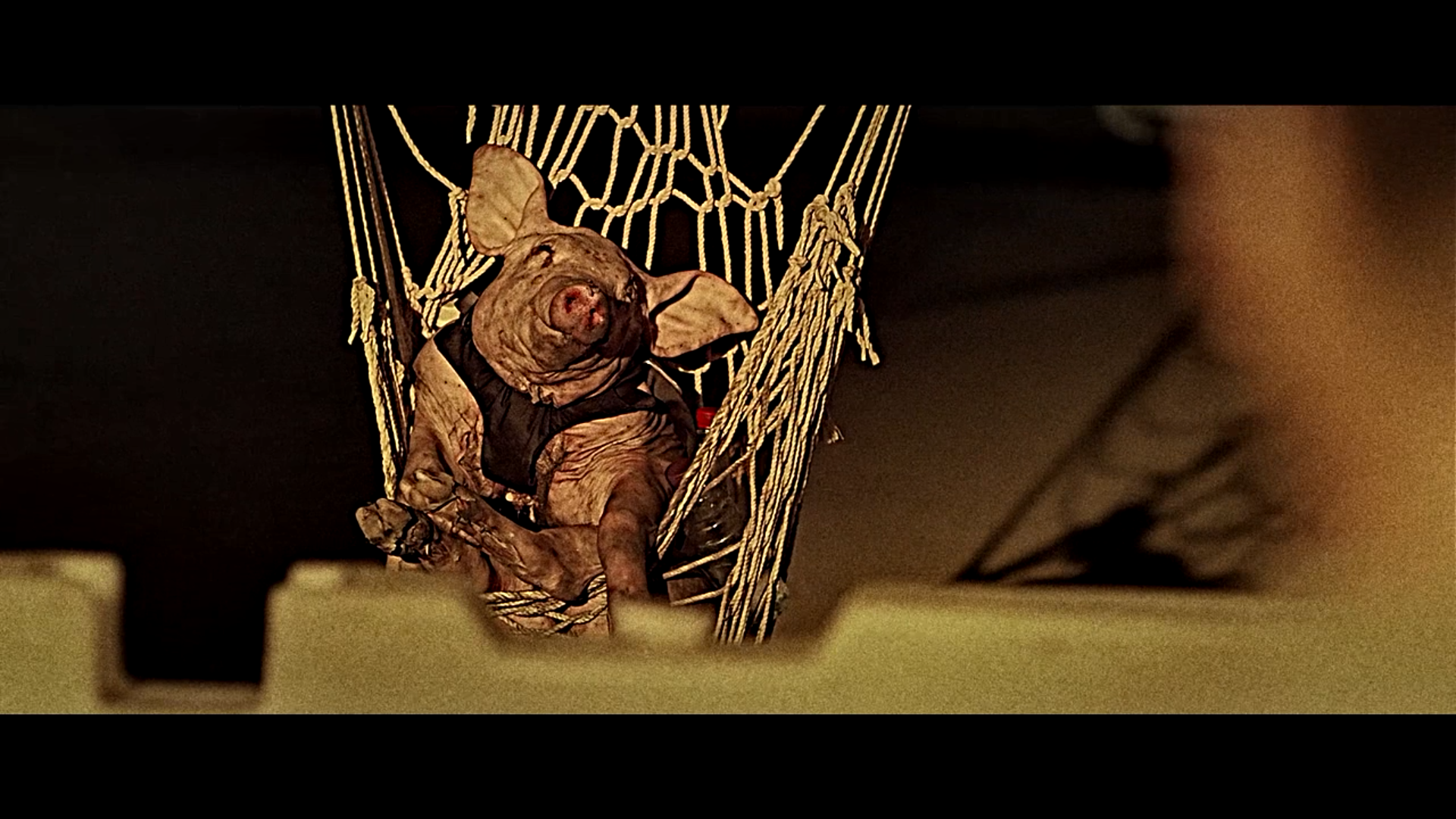 作家的谎言剧照的剧照