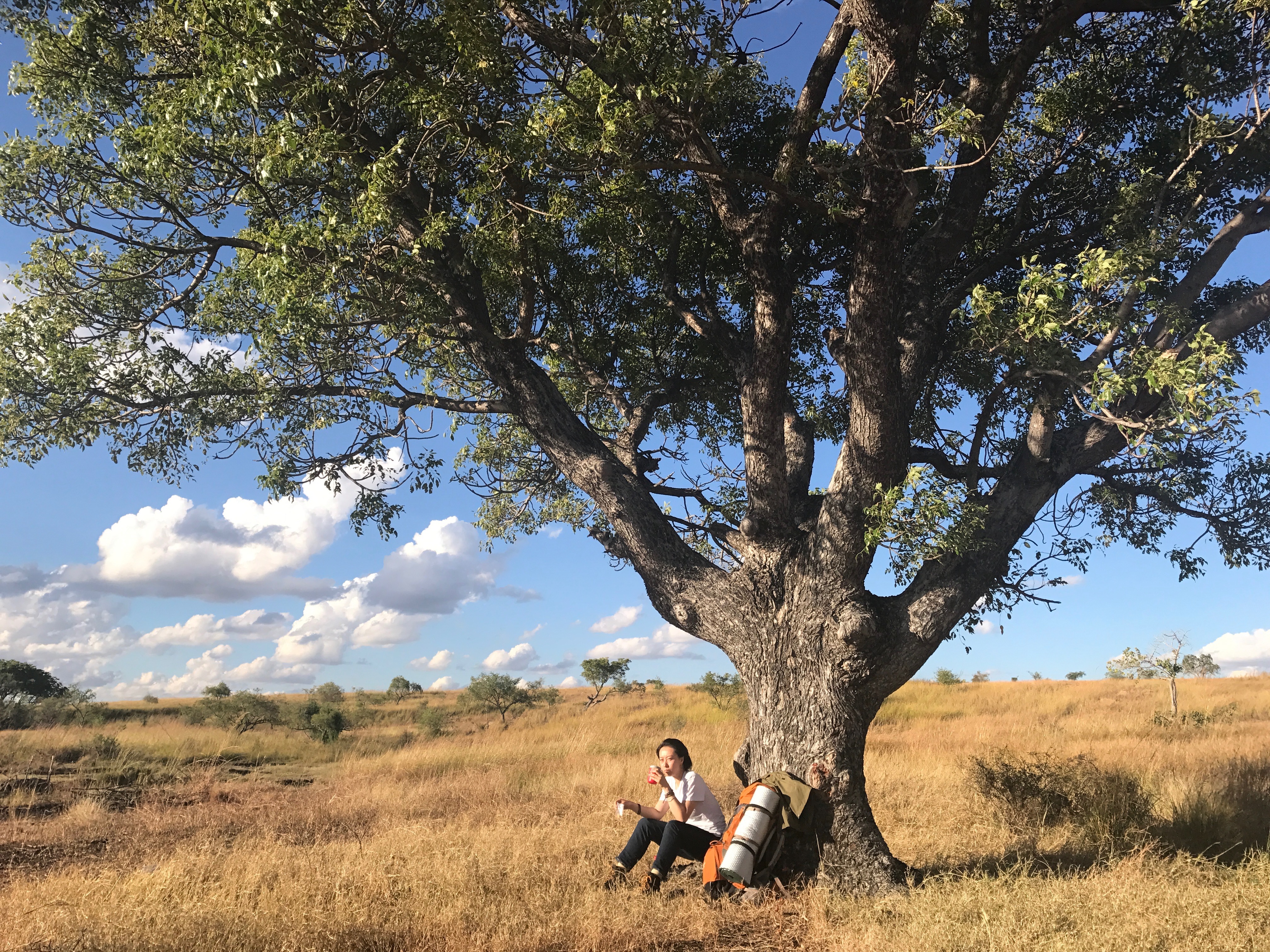 第四面墙剧照的剧照