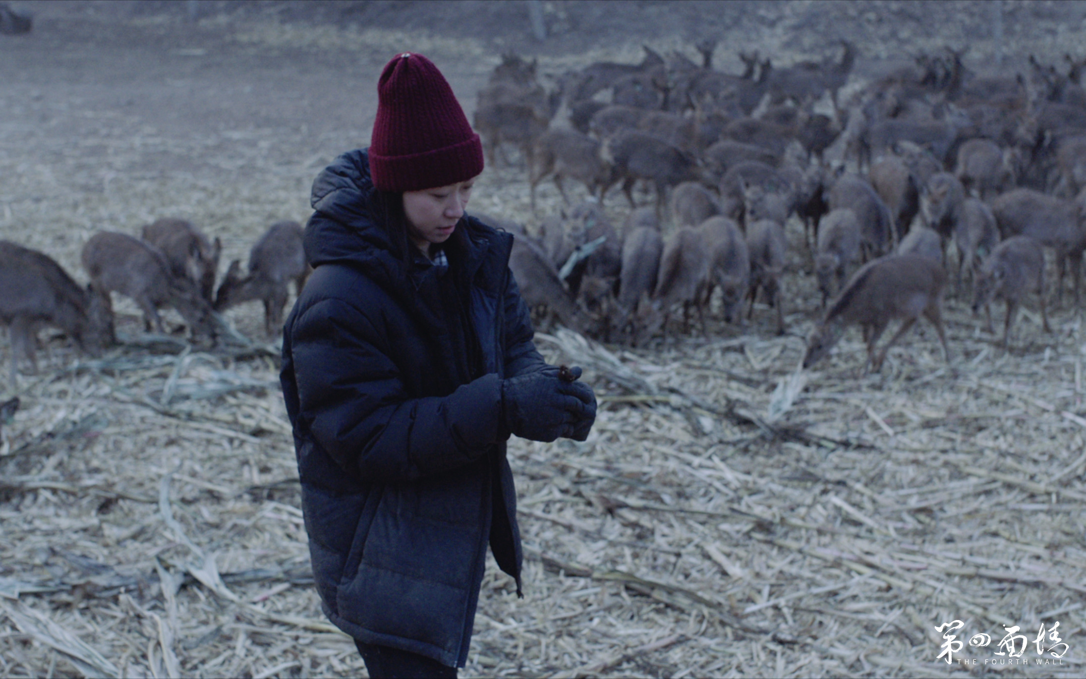 第四面墙剧照的剧照