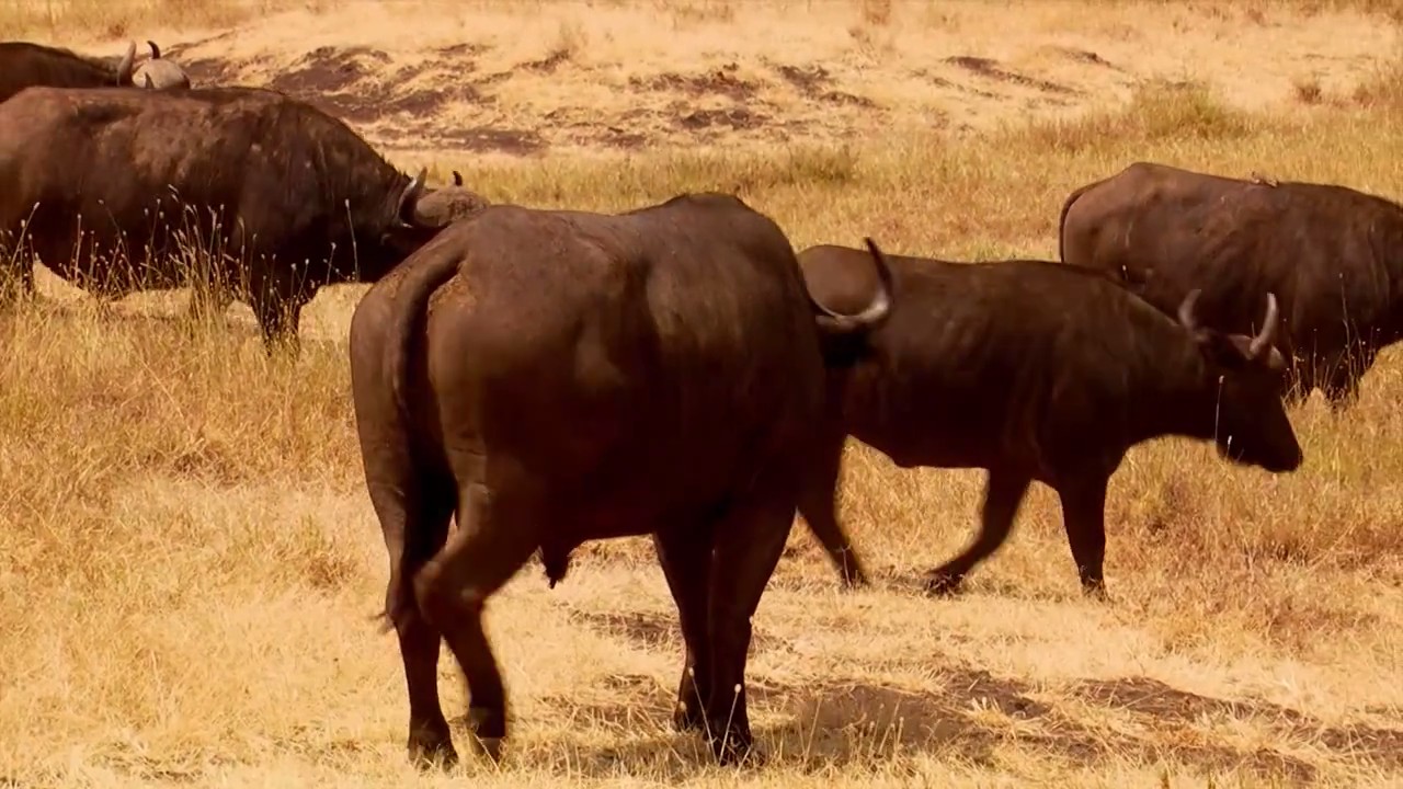 奇幻之旅剧照的剧照