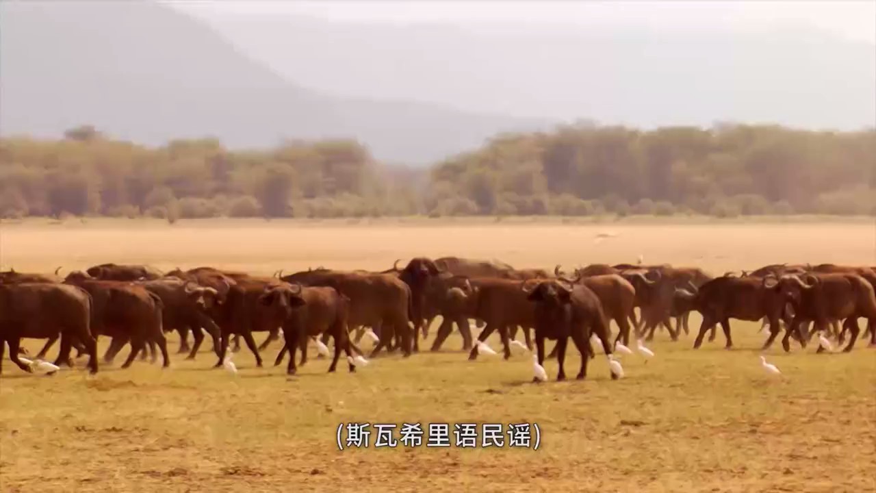 奇幻之旅剧照的剧照