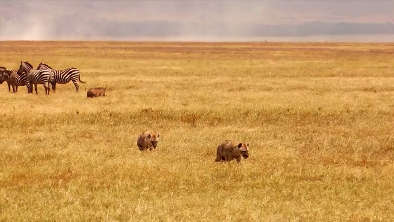 奇幻之旅剧照的剧照