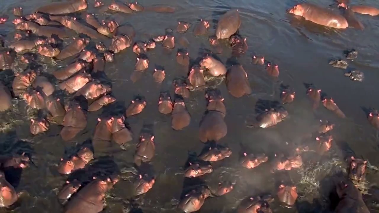 奇幻之旅剧照的剧照