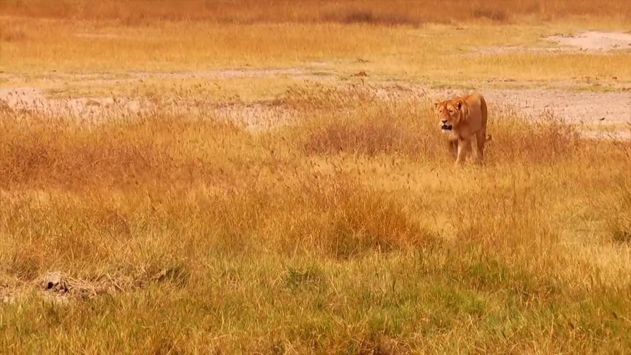 奇幻之旅剧照的剧照