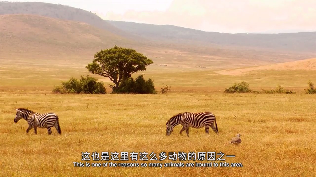 奇幻之旅剧照的剧照