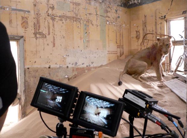 奇幻之旅剧照的剧照