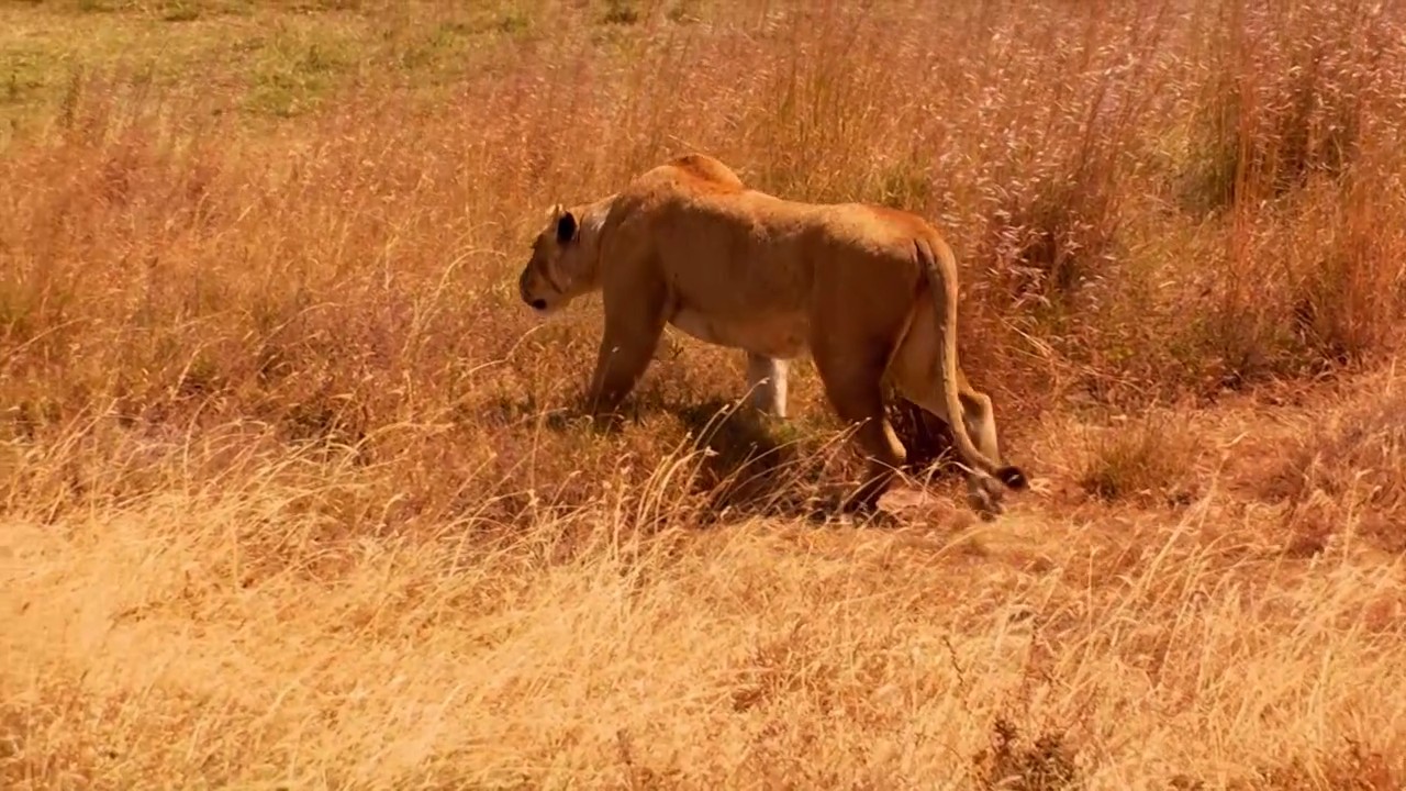 奇幻之旅剧照的剧照