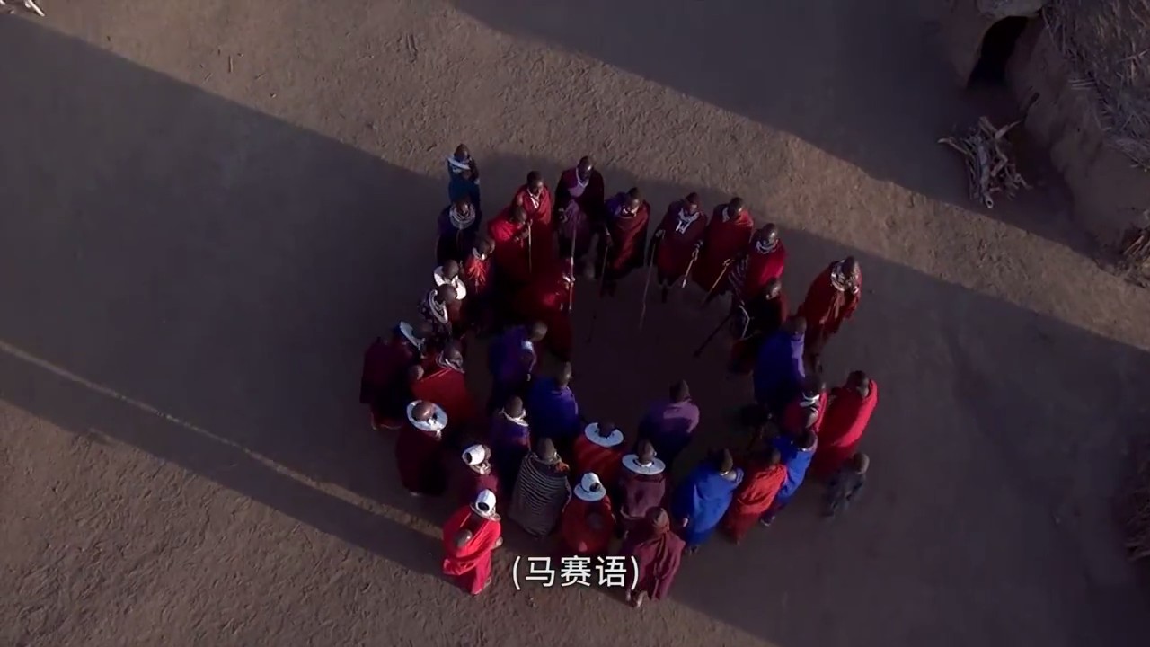 奇幻之旅剧照的剧照