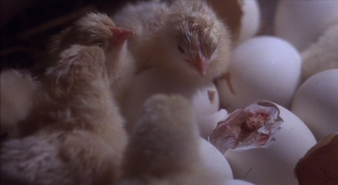 查泰莱夫人的情人剧照的剧照