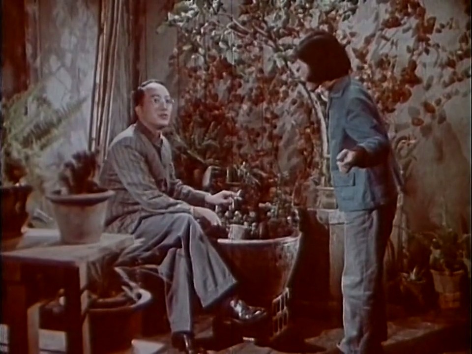 万紫千红总是春剧照的剧照